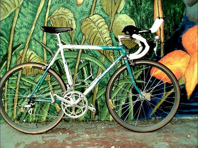 quintana roo bikes for sale