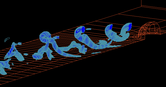 Horseshoe Vortices