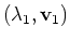 $(\lambda_1, {\bf v}_1)$
