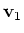 ${\bf v} _1$