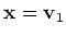 ${\bf x} = {\bf v}_1$