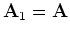 ${\bf A}_1 = {\bf A} $